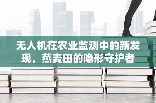 无人机在农业监测中的新发现，燕麦田的隐形守护者