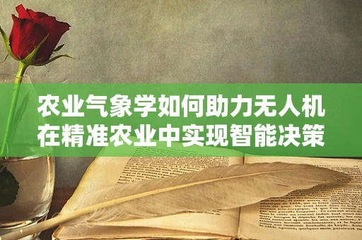 农业气象学如何助力无人机在精准农业中实现智能决策？