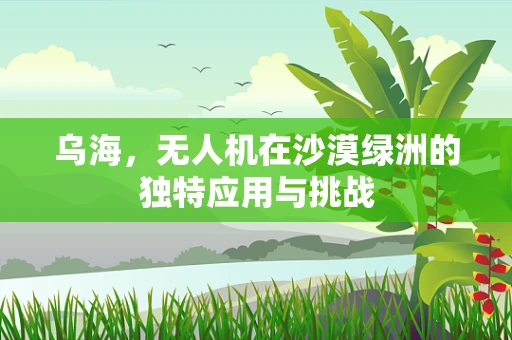 乌海，无人机在沙漠绿洲的独特应用与挑战