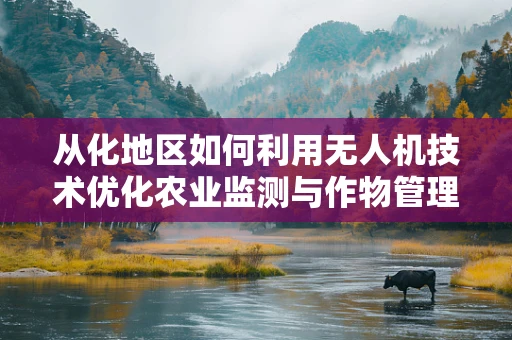 从化地区如何利用无人机技术优化农业监测与作物管理？
