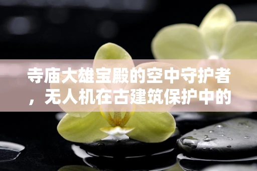寺庙大雄宝殿的空中守护者，无人机在古建筑保护中的角色？