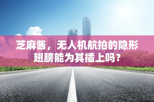 芝麻酱，无人机航拍的隐形翅膀能为其插上吗？