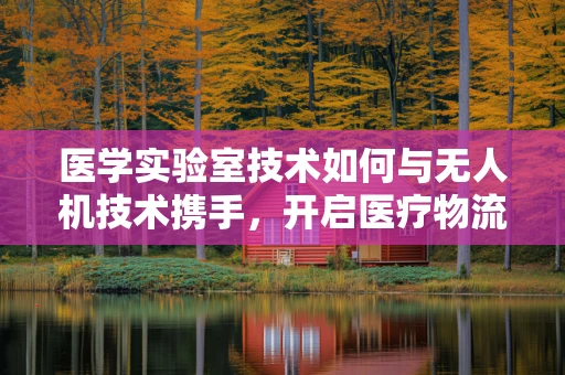 医学实验室技术如何与无人机技术携手，开启医疗物流新纪元？