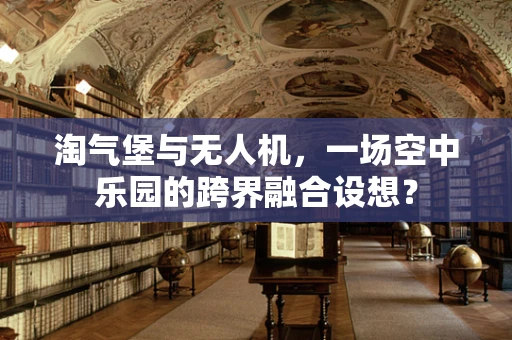淘气堡与无人机，一场空中乐园的跨界融合设想？