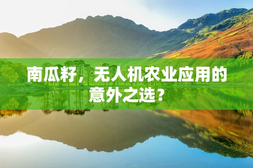 南瓜籽，无人机农业应用的意外之选？