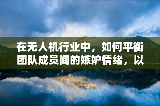 在无人机行业中，如何平衡团队成员间的嫉妒情绪，以促进创新与协作？