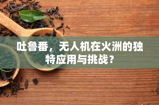 吐鲁番，无人机在火洲的独特应用与挑战？