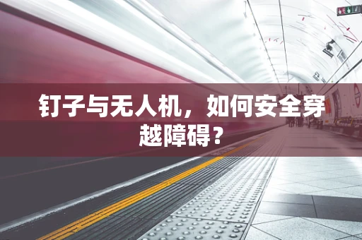 钉子与无人机，如何安全穿越障碍？