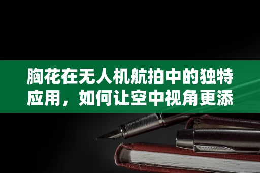 胸花在无人机航拍中的独特应用，如何让空中视角更添一抹色彩？