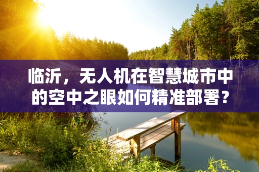 临沂，无人机在智慧城市中的空中之眼如何精准部署？