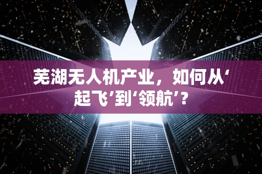 芜湖无人机产业，如何从‘起飞’到‘领航’？