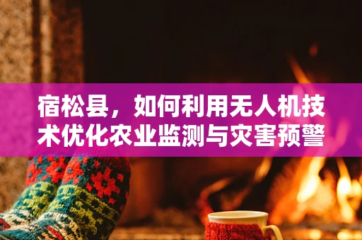 宿松县，如何利用无人机技术优化农业监测与灾害预警？