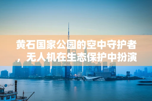 黄石国家公园的空中守护者，无人机在生态保护中扮演的角色？