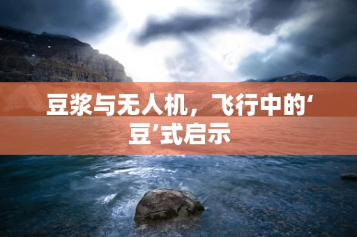 豆浆与无人机，飞行中的‘豆’式启示