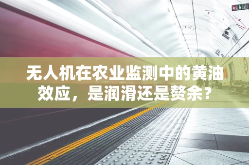 无人机在农业监测中的黄油效应，是润滑还是赘余？