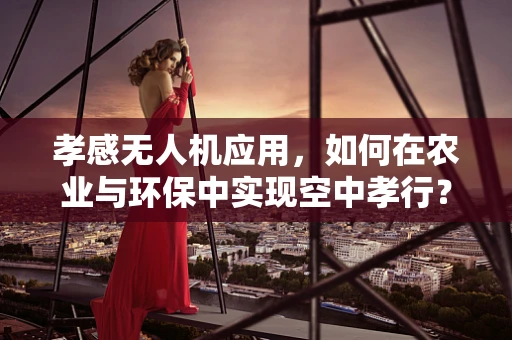 孝感无人机应用，如何在农业与环保中实现空中孝行？