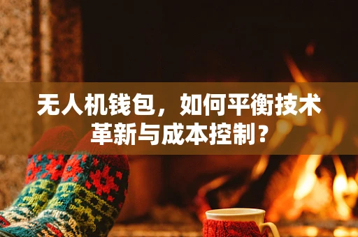 无人机钱包，如何平衡技术革新与成本控制？