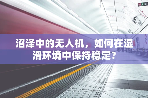 沼泽中的无人机，如何在湿滑环境中保持稳定？