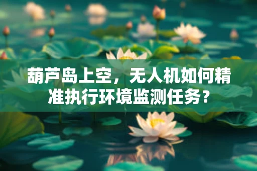 葫芦岛上空，无人机如何精准执行环境监测任务？