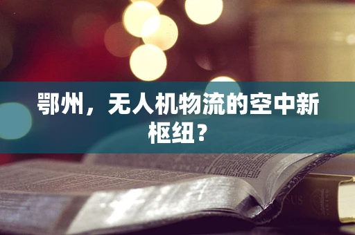 鄂州，无人机物流的空中新枢纽？