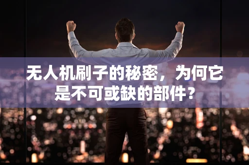 无人机刷子的秘密，为何它是不可或缺的部件？