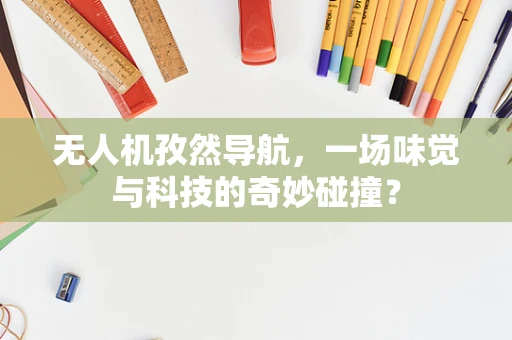 无人机孜然导航，一场味觉与科技的奇妙碰撞？