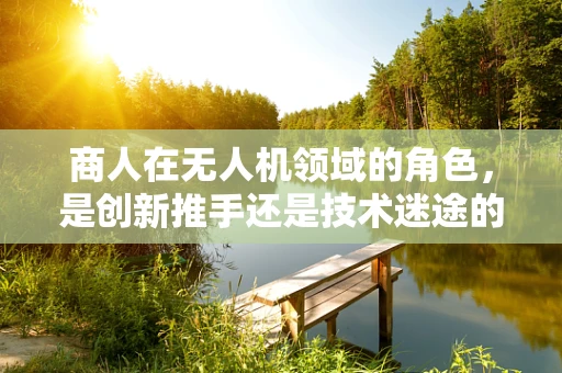 商人在无人机领域的角色，是创新推手还是技术迷途的领航者？