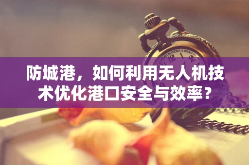 防城港，如何利用无人机技术优化港口安全与效率？