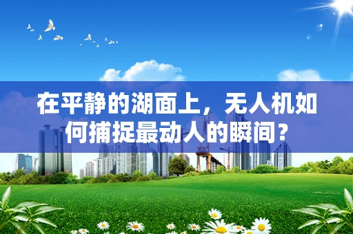 在平静的湖面上，无人机如何捕捉最动人的瞬间？