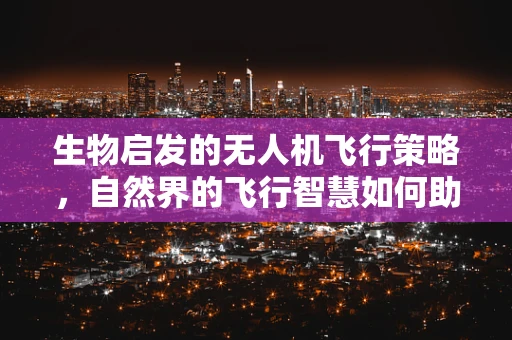 生物启发的无人机飞行策略，自然界的飞行智慧如何助力无人机发展？