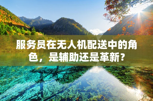 服务员在无人机配送中的角色，是辅助还是革新？