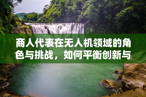 商人代表在无人机领域的角色与挑战，如何平衡创新与合规？