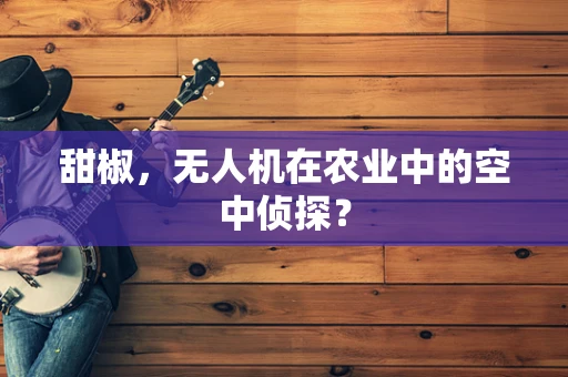 甜椒，无人机在农业中的空中侦探？