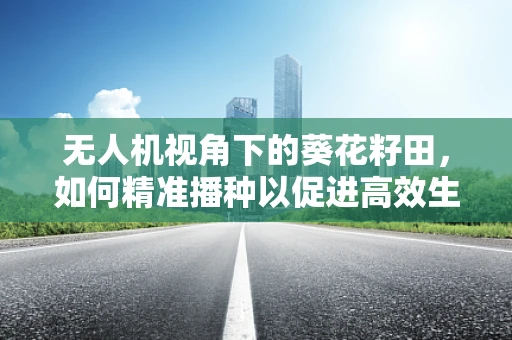 无人机视角下的葵花籽田，如何精准播种以促进高效生长？
