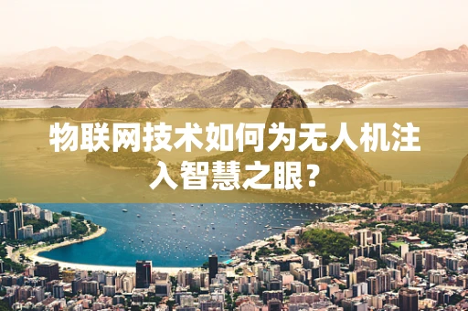物联网技术如何为无人机注入智慧之眼？