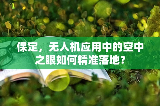 保定，无人机应用中的空中之眼如何精准落地？