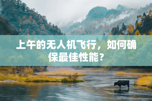 上午的无人机飞行，如何确保最佳性能？