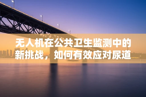 无人机在公共卫生监测中的新挑战，如何有效应对尿道炎疫情的空中监测？