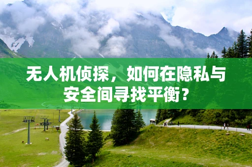 无人机侦探，如何在隐私与安全间寻找平衡？