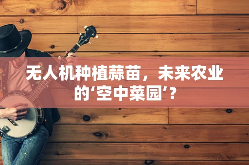 无人机种植蒜苗，未来农业的‘空中菜园’？