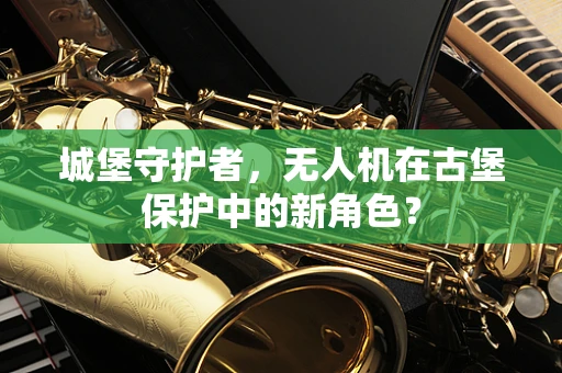 城堡守护者，无人机在古堡保护中的新角色？