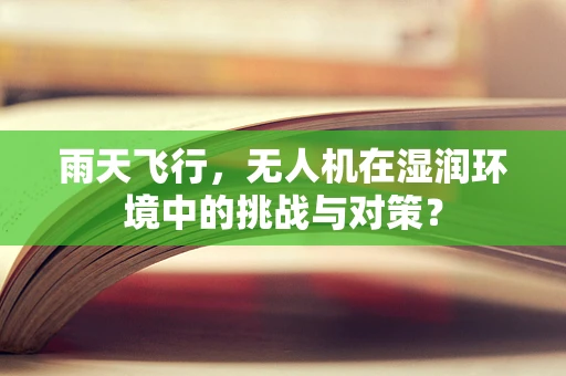 雨天飞行，无人机在湿润环境中的挑战与对策？