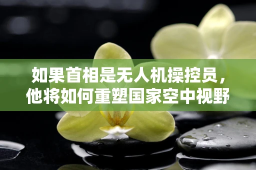 如果首相是无人机操控员，他将如何重塑国家空中视野？