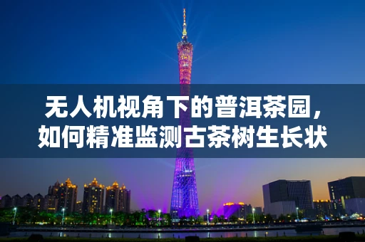 无人机视角下的普洱茶园，如何精准监测古茶树生长状态？