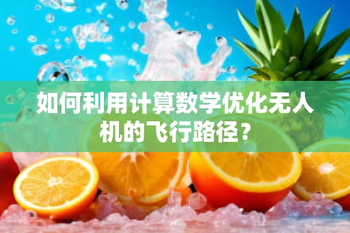 如何利用计算数学优化无人机的飞行路径？