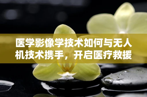 医学影像学技术如何与无人机技术携手，开启医疗救援新篇章？