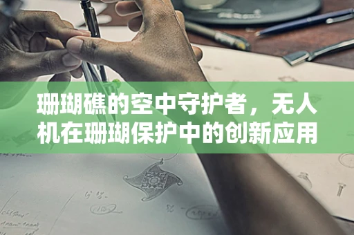 珊瑚礁的空中守护者，无人机在珊瑚保护中的创新应用？