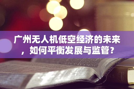 广州无人机低空经济的未来，如何平衡发展与监管？