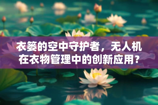 衣篓的空中守护者，无人机在衣物管理中的创新应用？