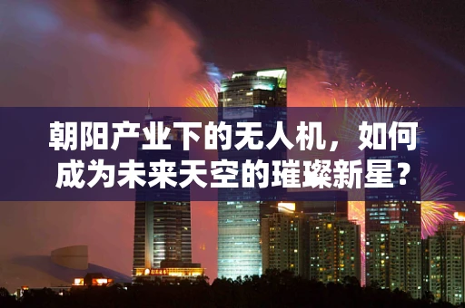 朝阳产业下的无人机，如何成为未来天空的璀璨新星？